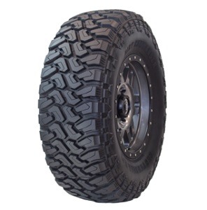 Tire - TCD2233125F  